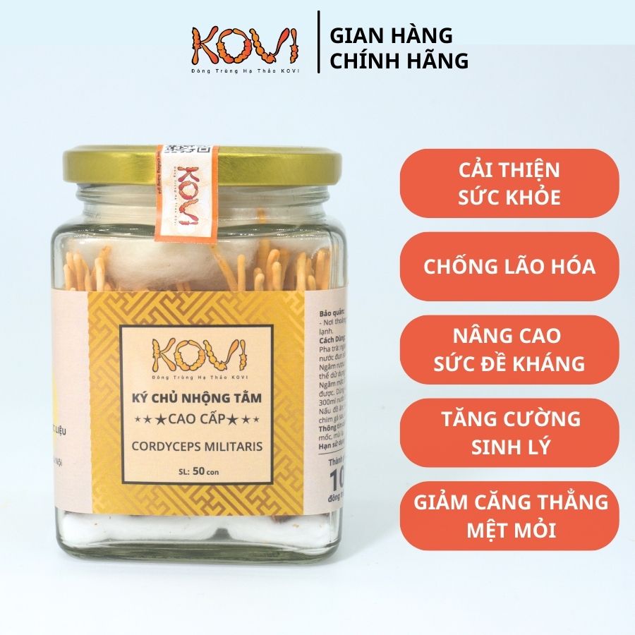 [Mua 3 tặng 1] Đông trùng hạ thảo KOVI ký chủ nhộng tằm nguyên con khô sấy thăng hoa | 50 con