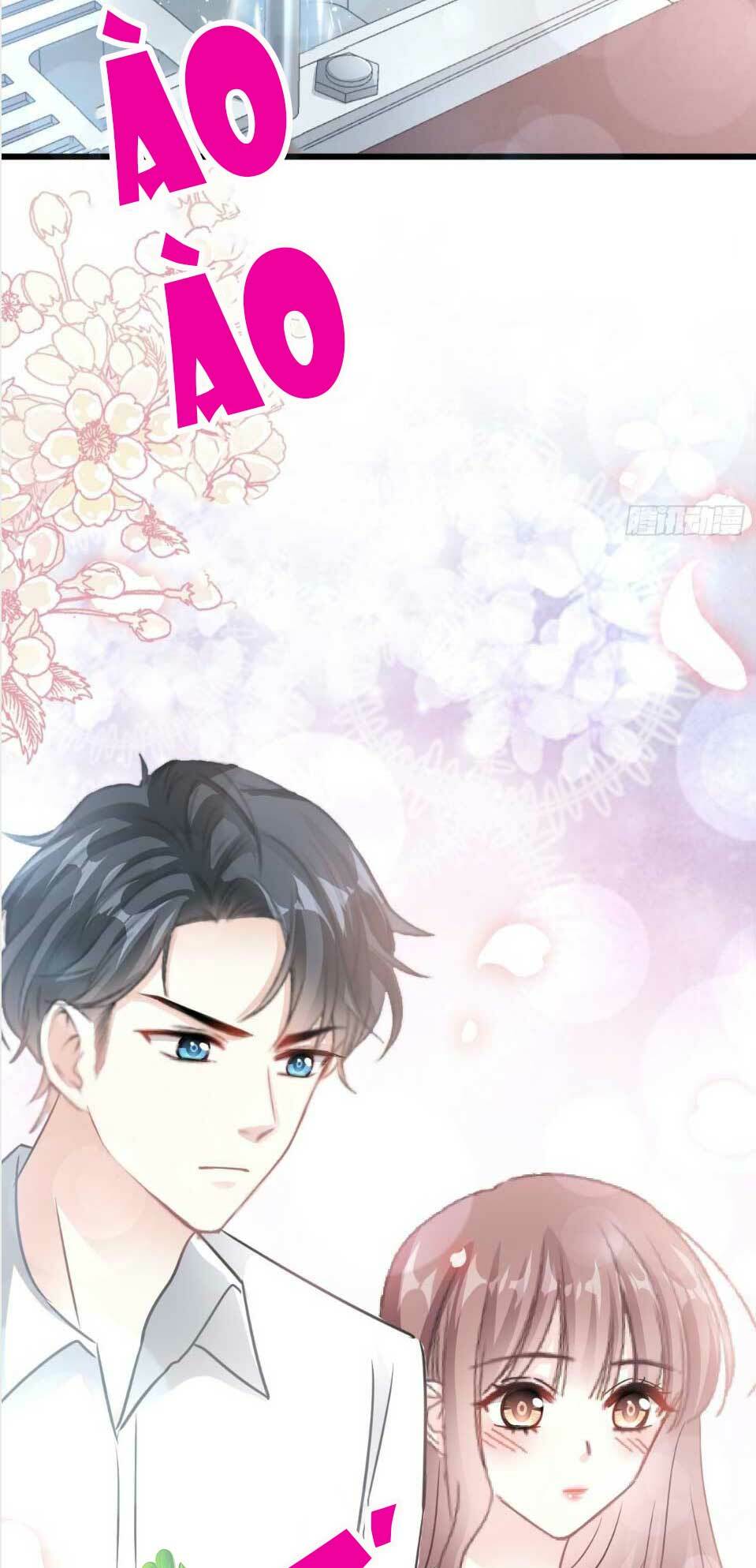 bá đạo tổng tài nhẹ nhàng yêu chapter 54.2 5