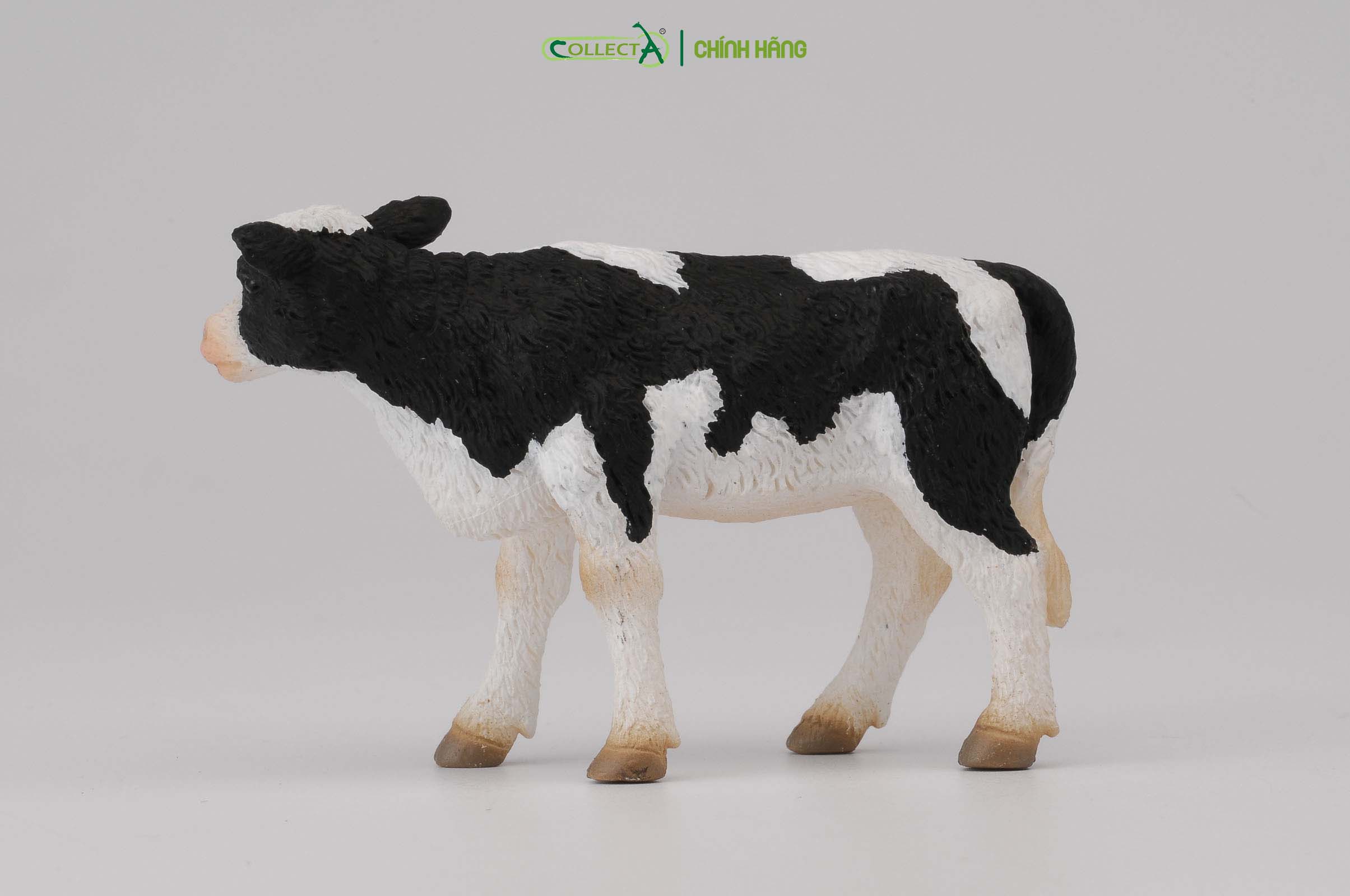 Mô hình thu nhỏ: Bò Hà Lan con - Đứng - Friesian Calf - Standing, hiệu: CollectA, mã HS 9650072[88483] -  Chất liệu an toàn cho trẻ - Hàng chính hãng