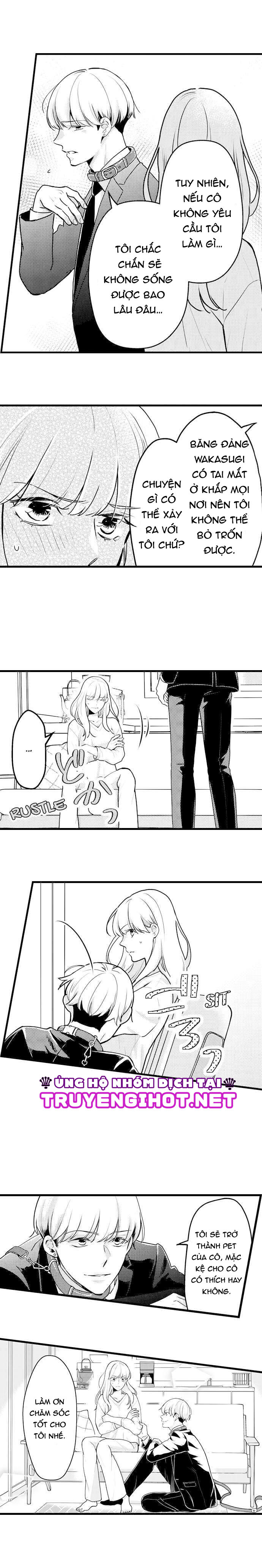 pet nhà tôi là yakuza chapter 3.3 3