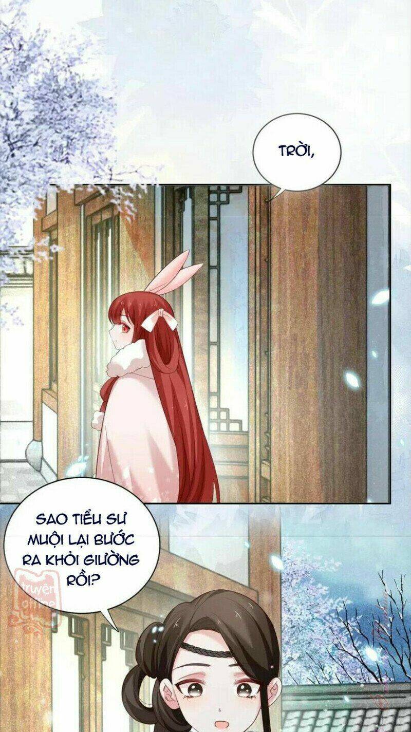 hắc hóa nam chính trực tuyến nuôi thỏ chapter 55 20