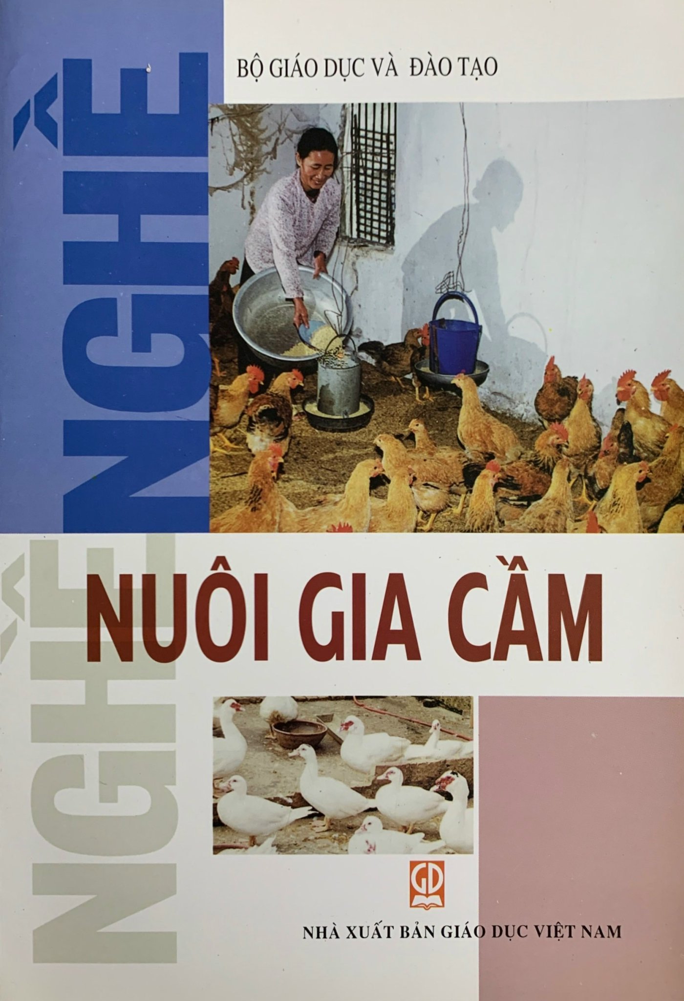 Nghề Nuôi Gia Cầm