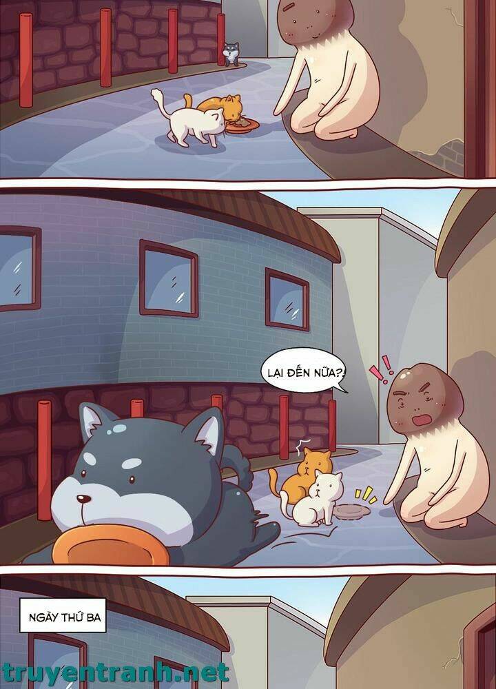 cây nấm kì khả chapter 10 4