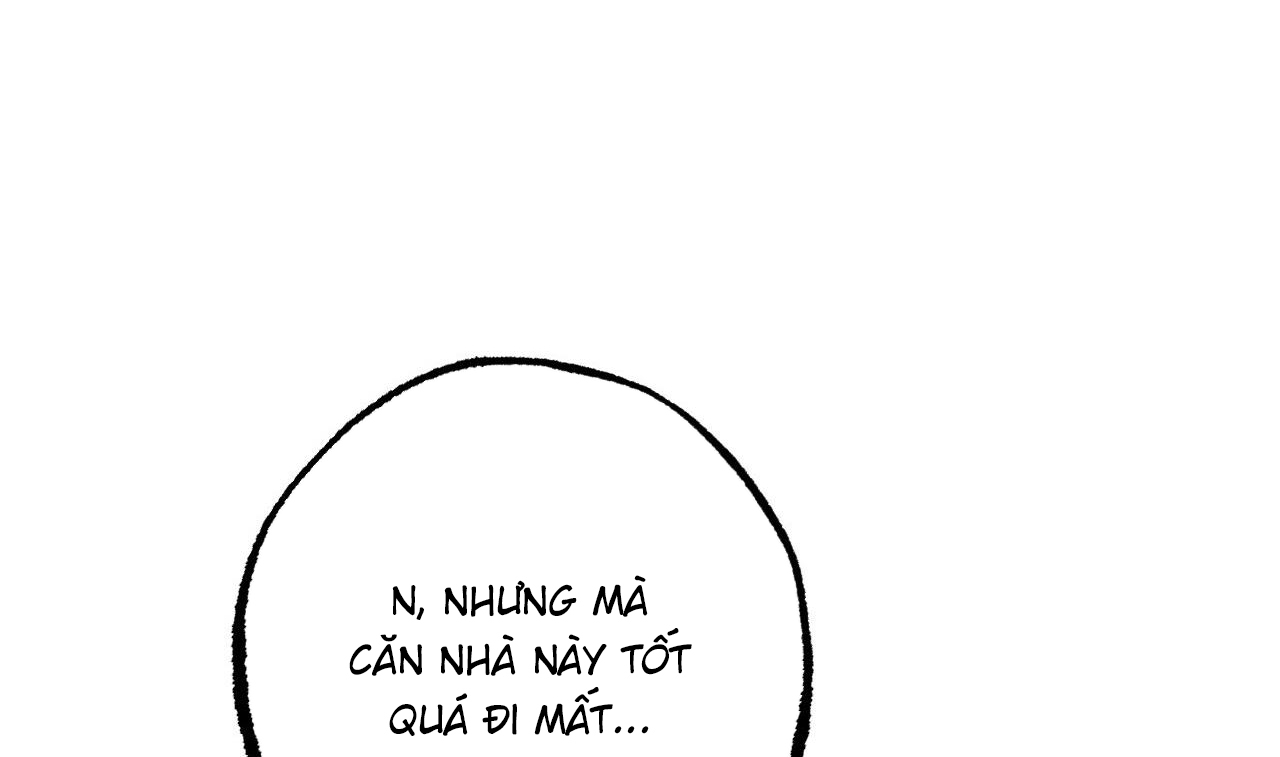 những chú thỏ của hapypy chapter 51 250