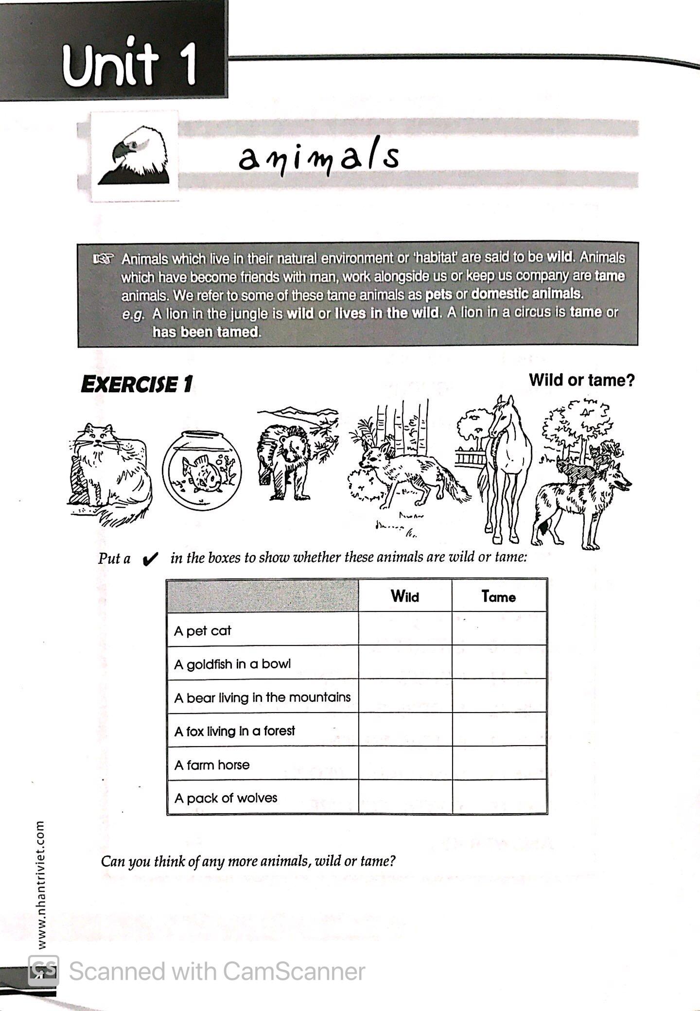 The Vocabulary Files A2 Pre - Intermediate (Không CD)