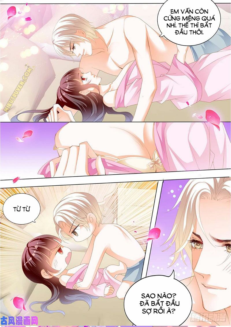 thiểm hôn kiều thê chapter 263 5