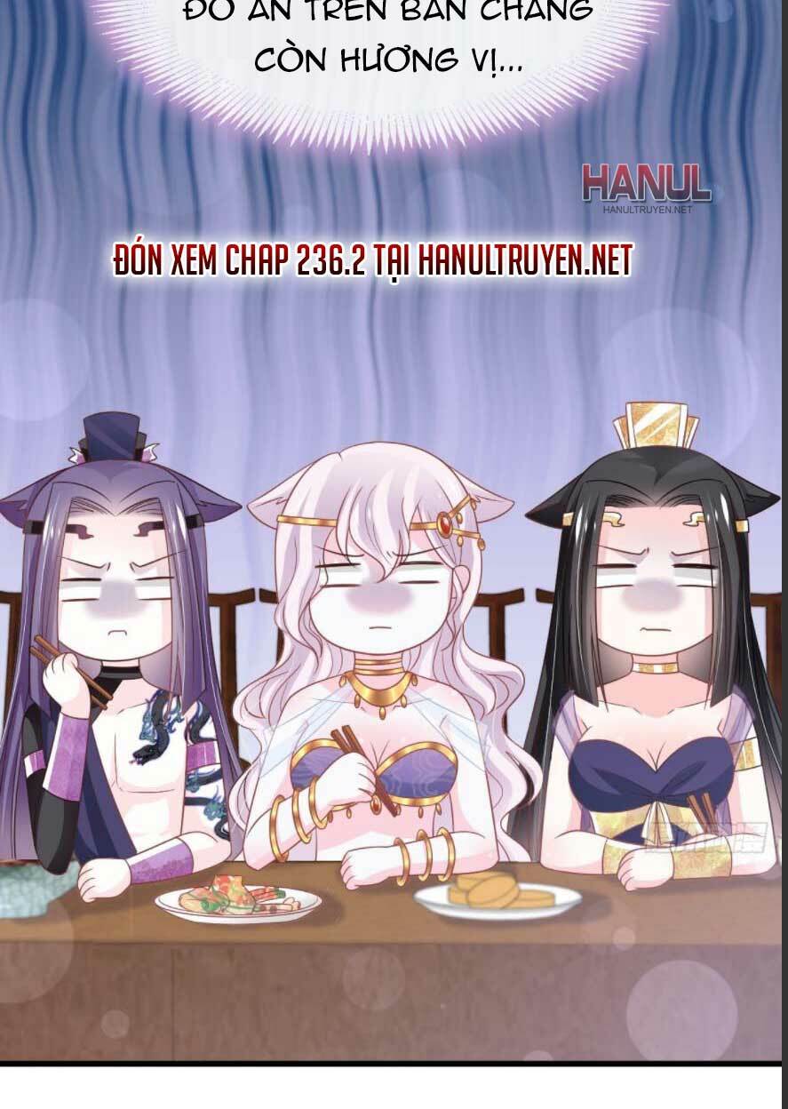 thiên hạ đệ nhất sủng phi chapter 236.1 19