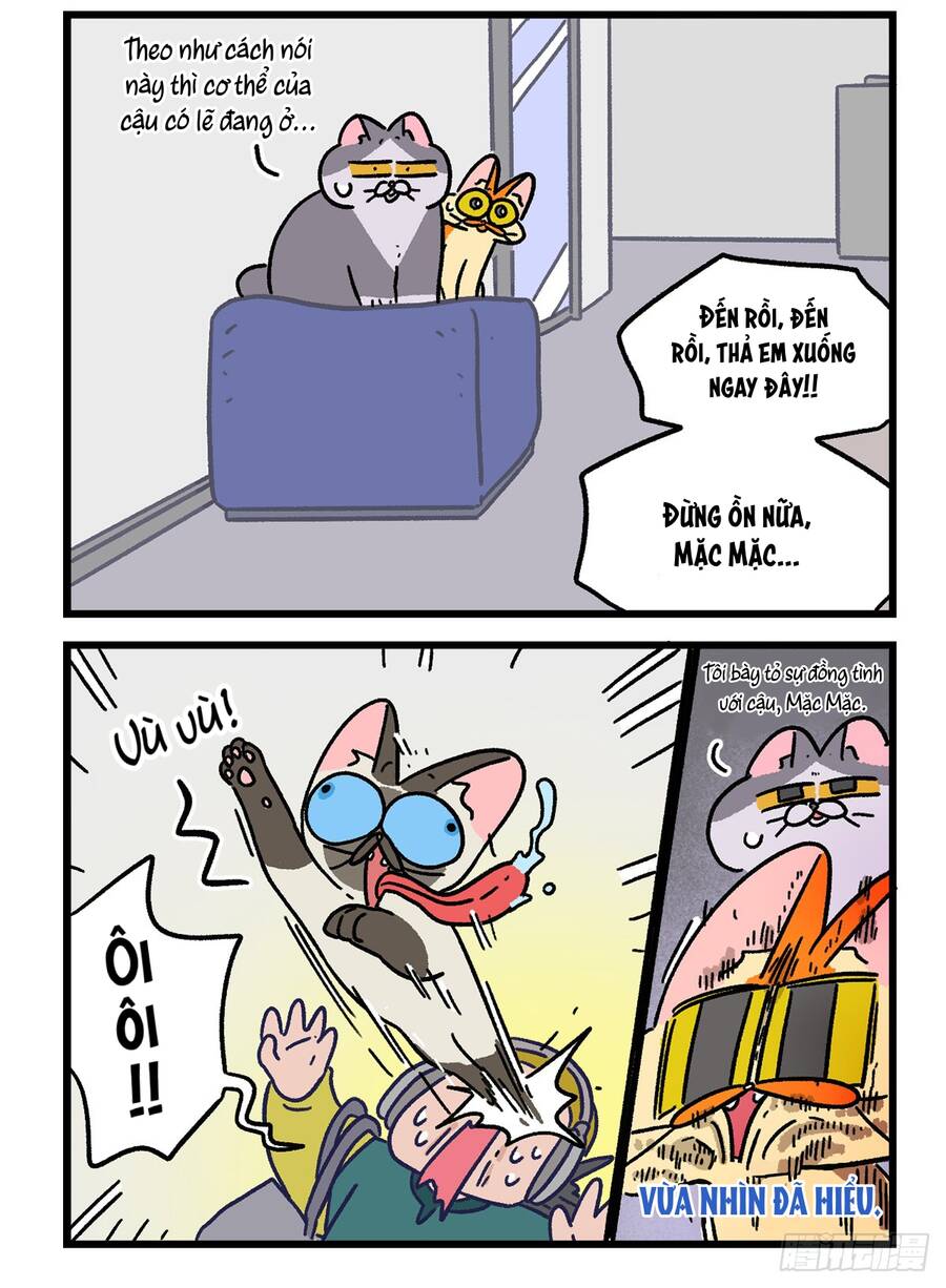 a mãn và mạch trà chapter 150.1 6