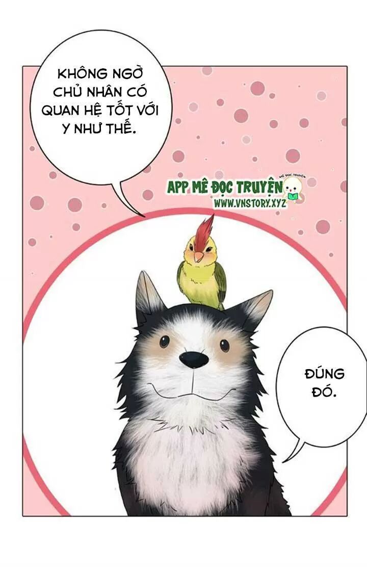 cực phẩm phế vật tiểu thư chapter 46 9