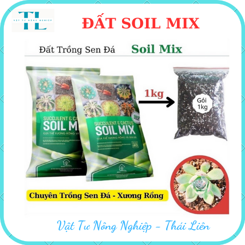 Đất Soil Mix chuyên trồng sen đá xương rồng kích rễ tăng trưởng, Đất chuyên dụng cho sen đá xứ nóng