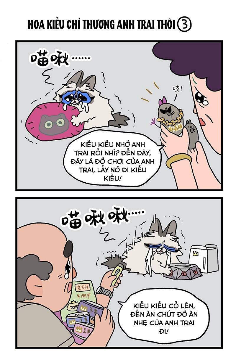 a mãn và mạch trà chapter 20 4