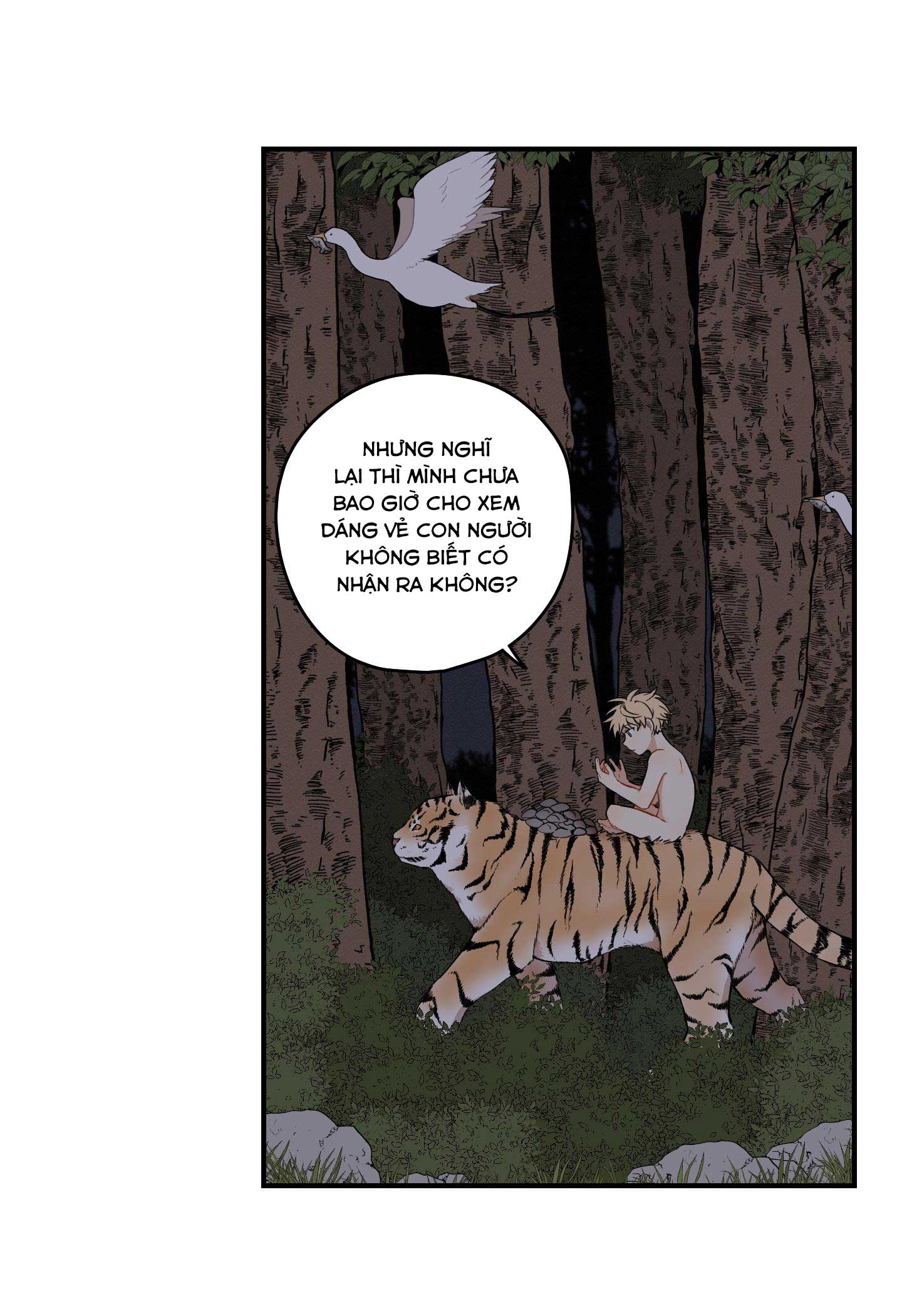 đường hoa liên kiều rơi chapter 30 36