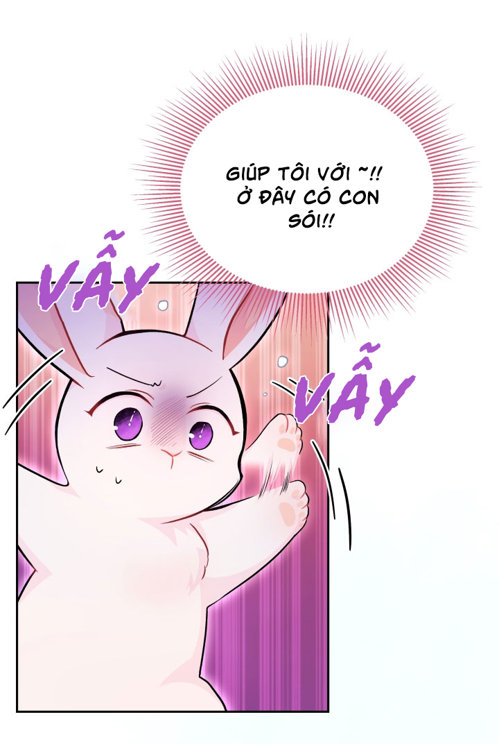 mối liên kết giữa báo đen và bé thỏ chapter 14 25