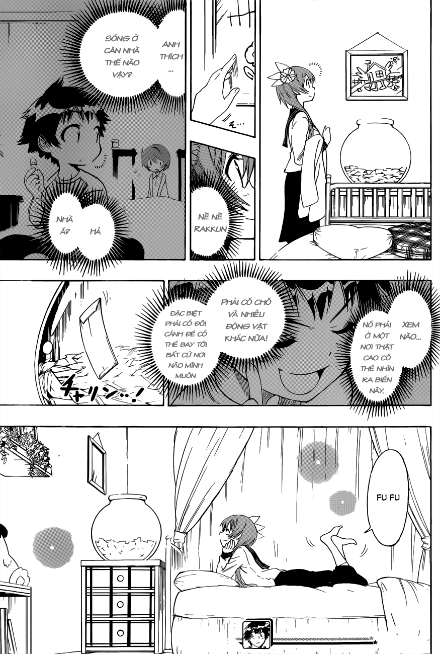 nisekoi - tình yêu giả tạo chapter 71 20