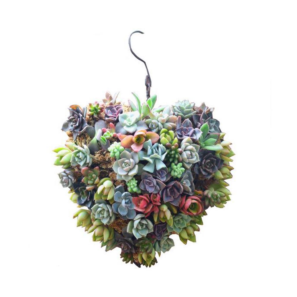 2pcs Iron Frame Ball&Heart Succulent Pot Metal Planter Iron Box Romantic