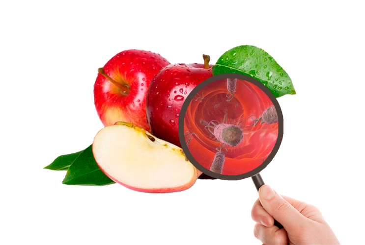 rửa hoa quả bằng máy thực phẩm ecomama