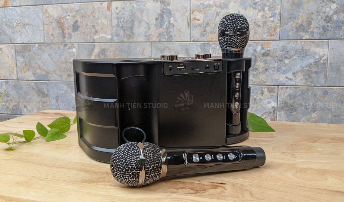 Loa karaoke bluetooth YS 202 - Tặng kèm 2 micro không dây SẠC TỰ ĐỘNG nghe nhạc hát karaoke âm thanh lớn phù hợp văn phòng