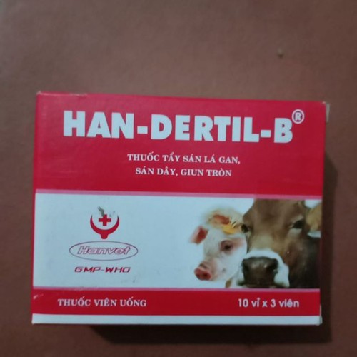 HAN DERTIL B - THUỐC TẨY SÁN LÁ GAN, SÁN DÂY, GIUN TRÒN 1VỈ/3 VIÊN
