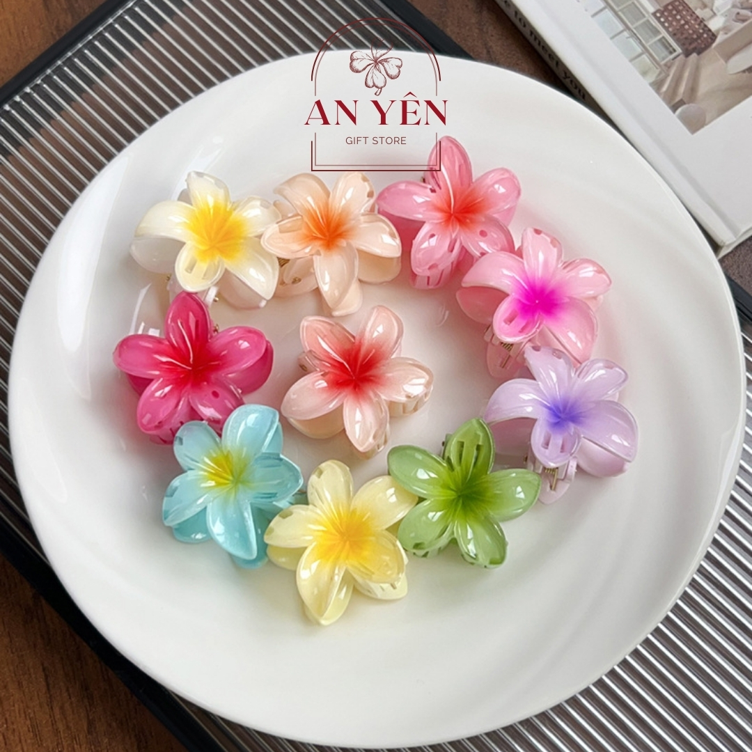 Set Quà Tặng Kẹp Tóc Hoa Sứ No.1 Tiệm Quà An Yên Tặng Sinh Nhật Bạn Gái Người Yêu 20/10 8/3, Quà Tặng Học Viên