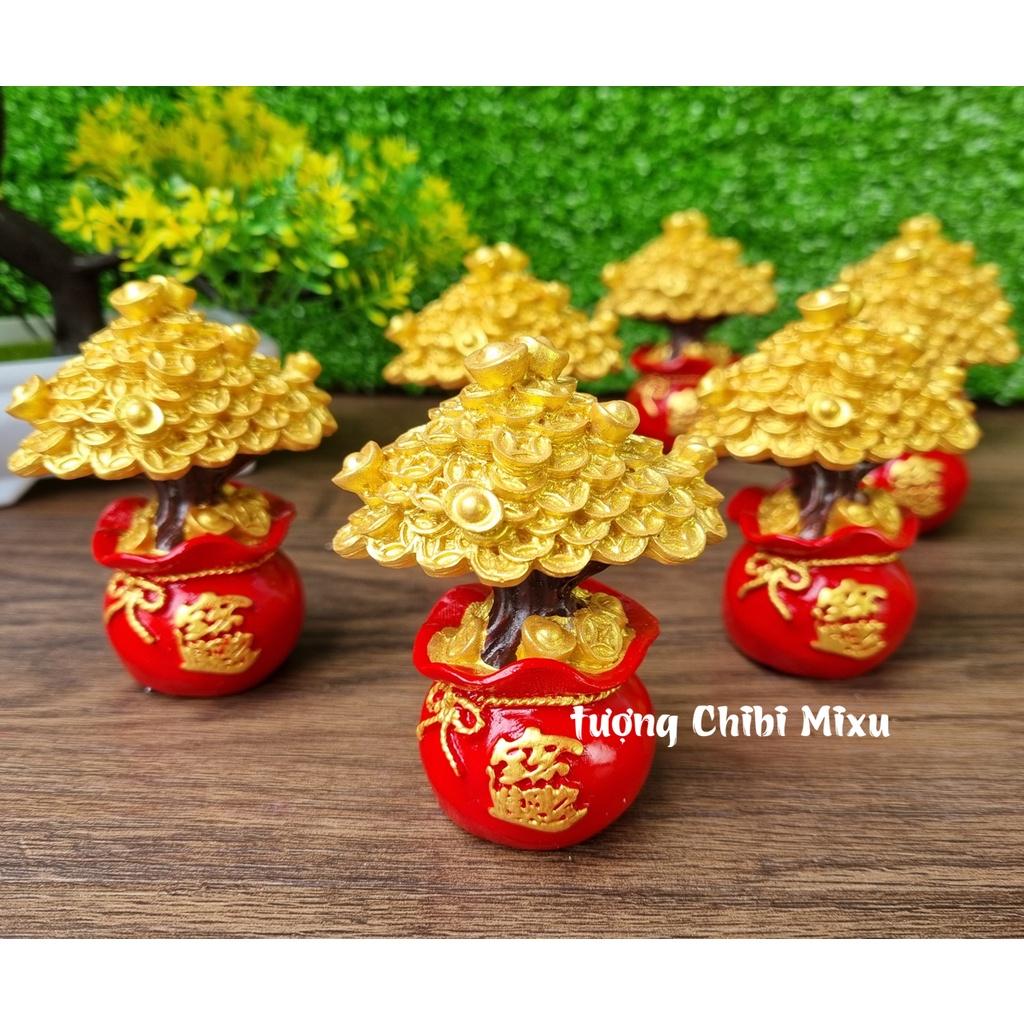 Chậu cây kim tiền size 8cm may mắn tài lộc