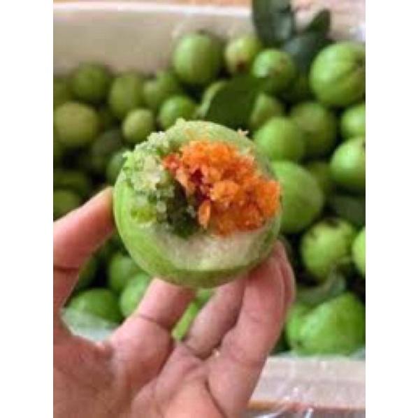 Cây giống ổi Đông Dư-ổi găng cho quả quanh năm
