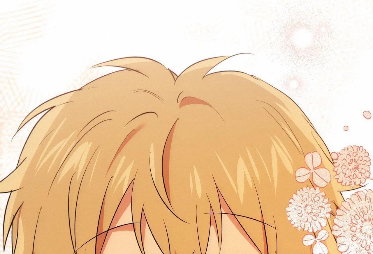 những chú thỏ của hapypy chapter 65 178