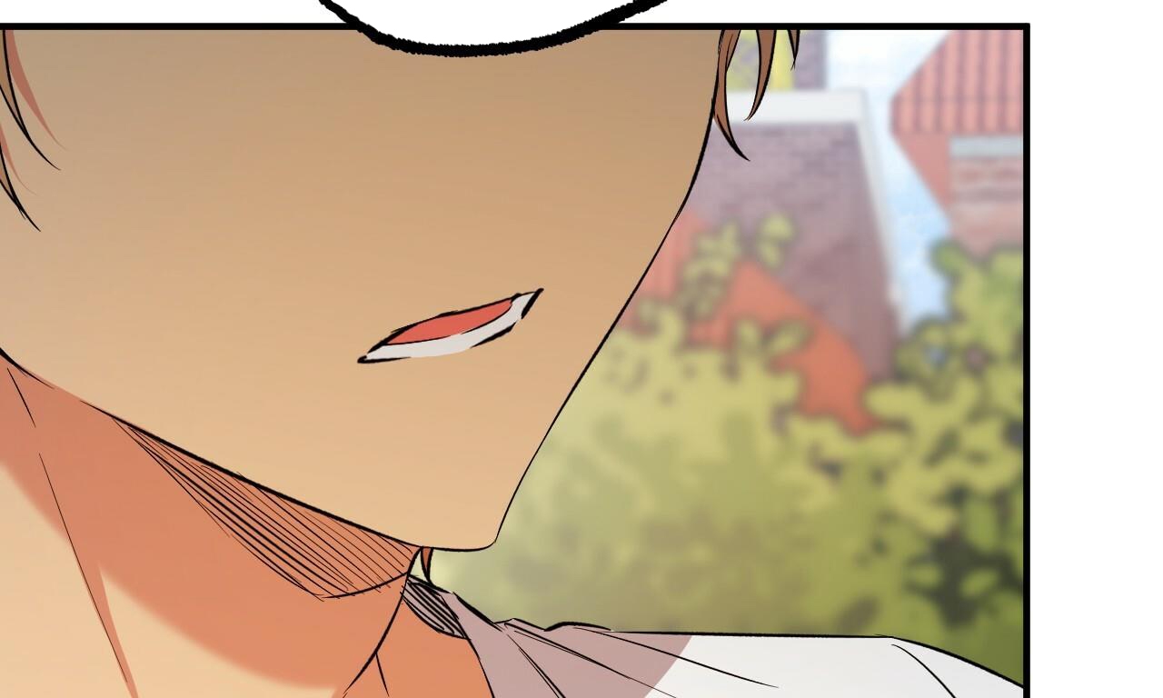 những chú thỏ của hapypy chapter 53 87