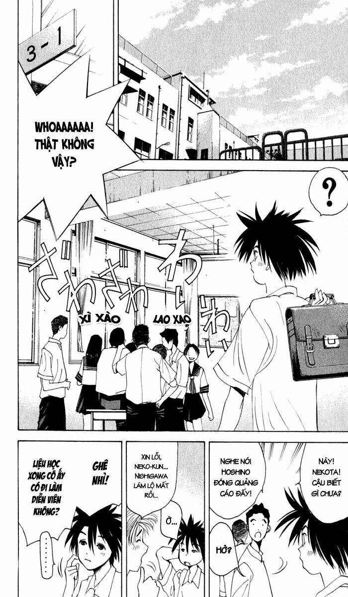 parallel chapter 11 19