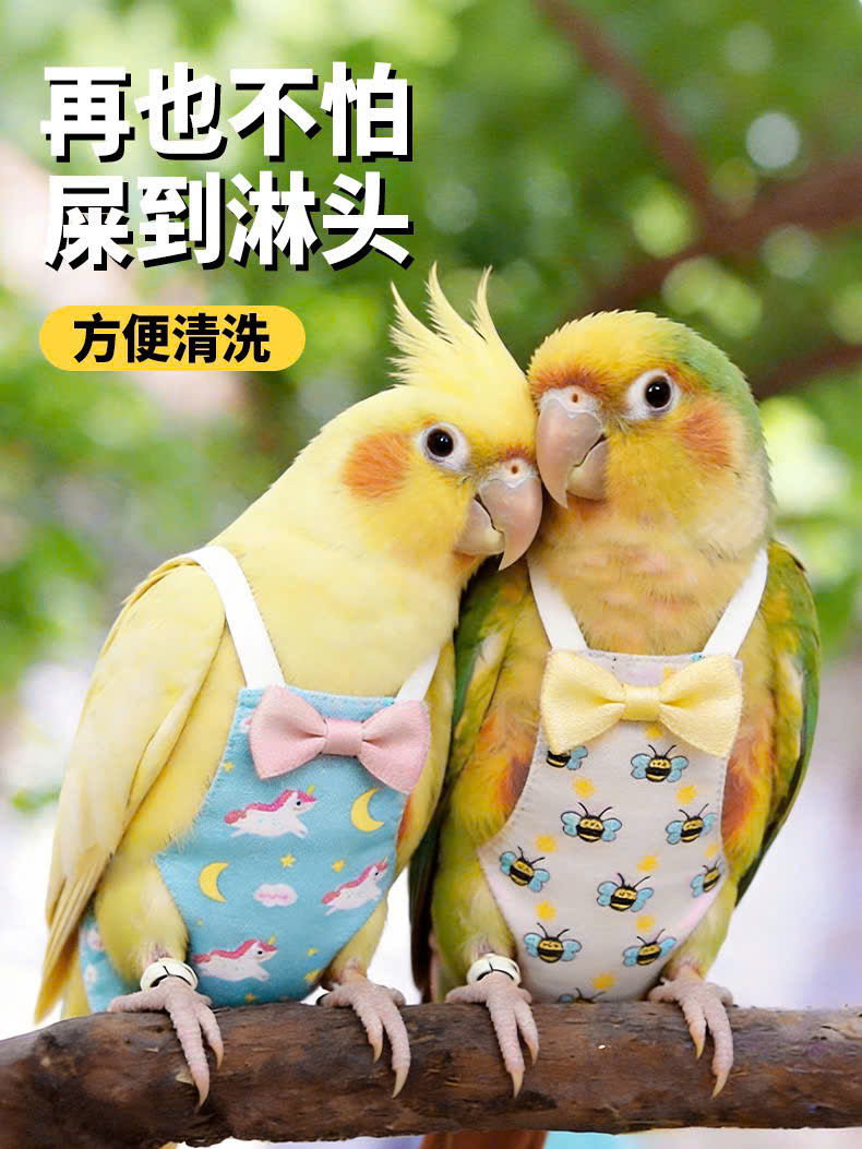 QUẦN ÁO TÃ CHO CHIM CẢNH CHIM VẸT DỄ THƯƠNG MÃ 3 XINH XẮN CHO THÚ CƯNG CHIM