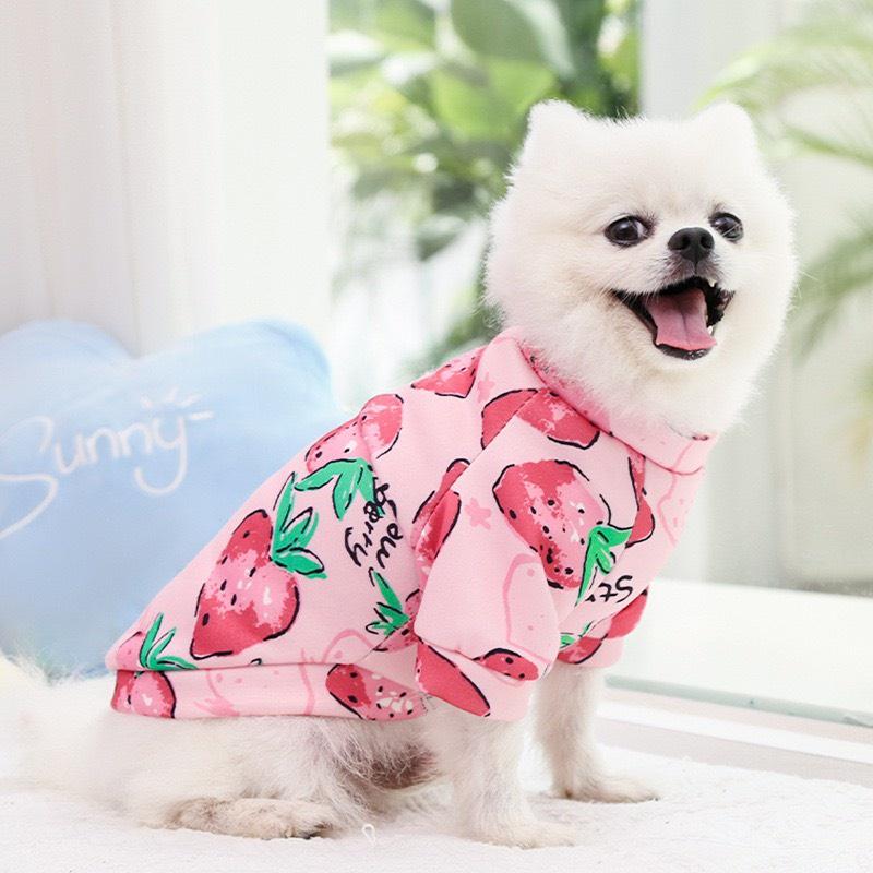 Áo nỉ chất đẹp họa tiết cực xinh chó chó mèo - Quần áo chó mèo thú cưng