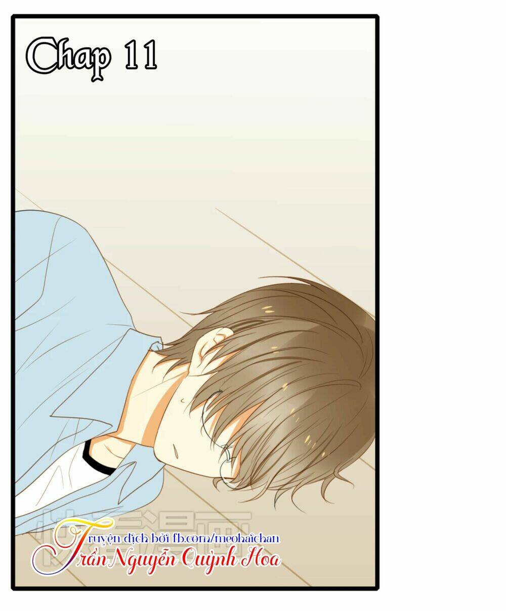 điều giáo quan hệ chapter 11 1