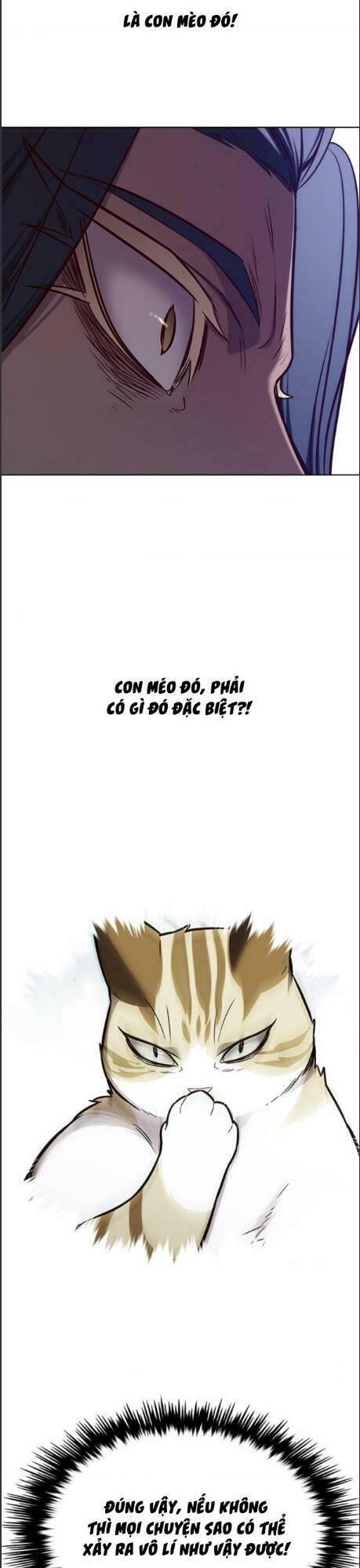 biến thân thành mèo chapter 164 33
