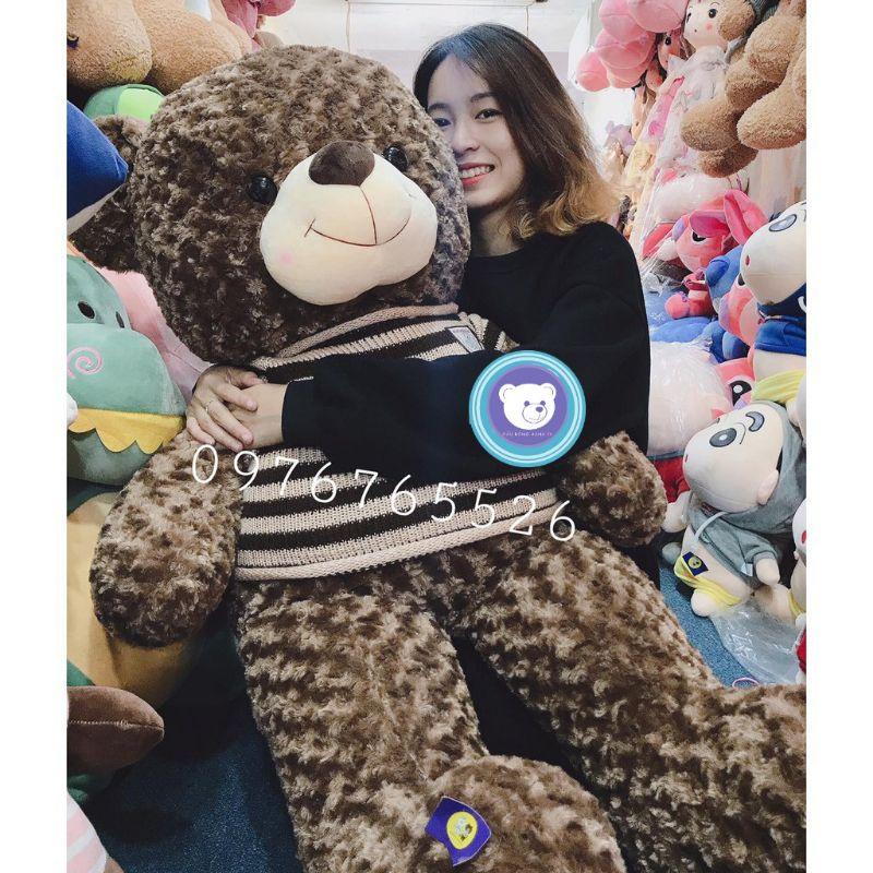 Gấu bông teddy - Teddy mặc áo len - Gấu Bông Hana