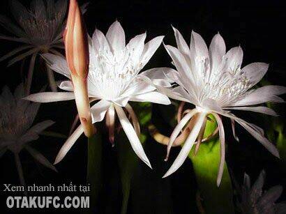 tổng hợp one shot. chapter 10 55