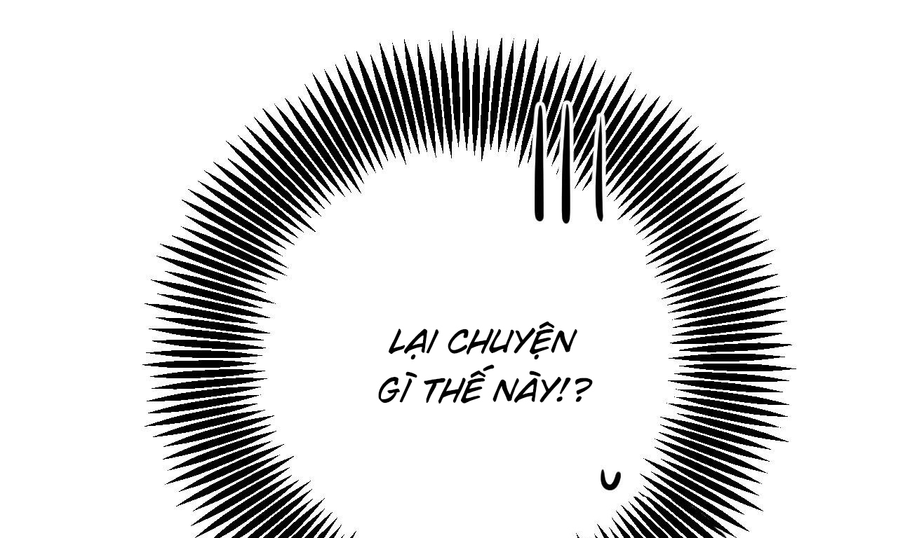 đàn thỏ của habibi chapter 53 7