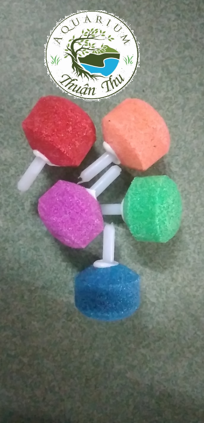 Combo 10 viên sủi oxy nhiều màu