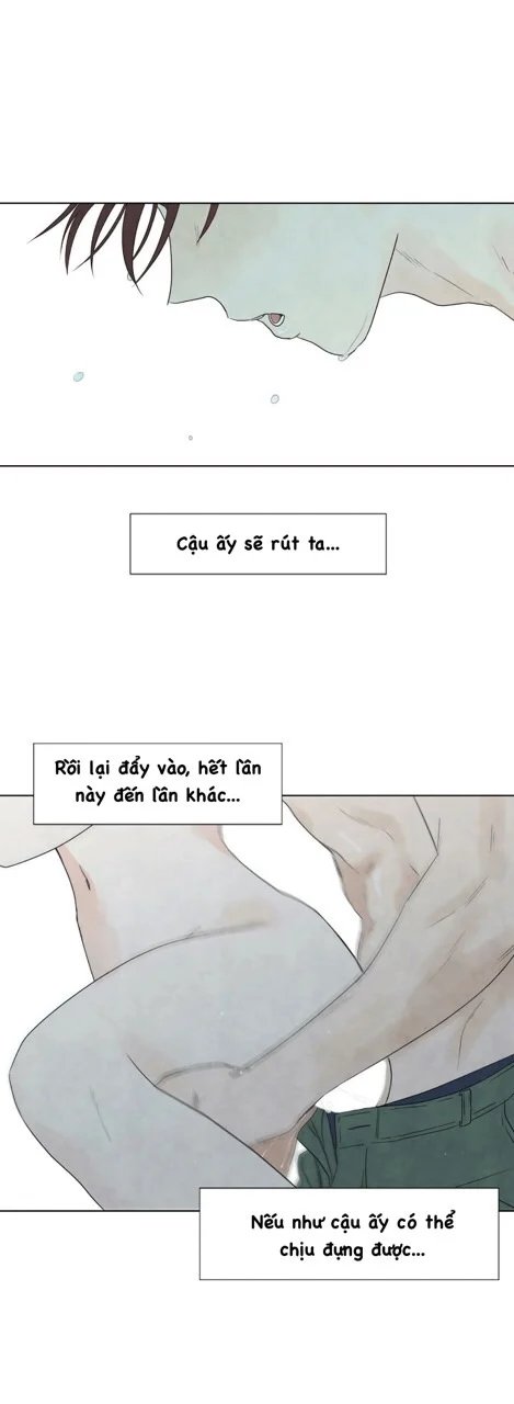 summer solstice point chapter 14 39