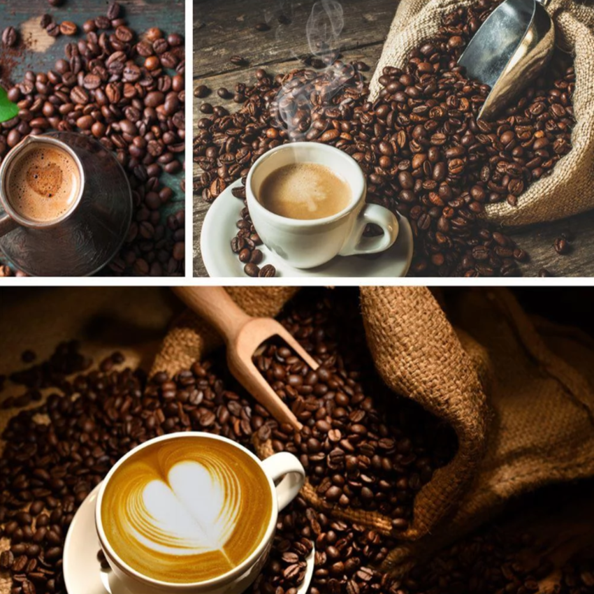 [ HÀNG NHẬP KHẨU] Máy rang hạt cà phê và các loại hạt tự động, thương hiệu Pháp cao cấp RAF - R.15601