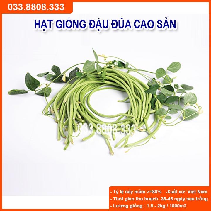 Hạt Giống Đậu Đũa 20gram -Giống Đẹp Giá Rẻ
