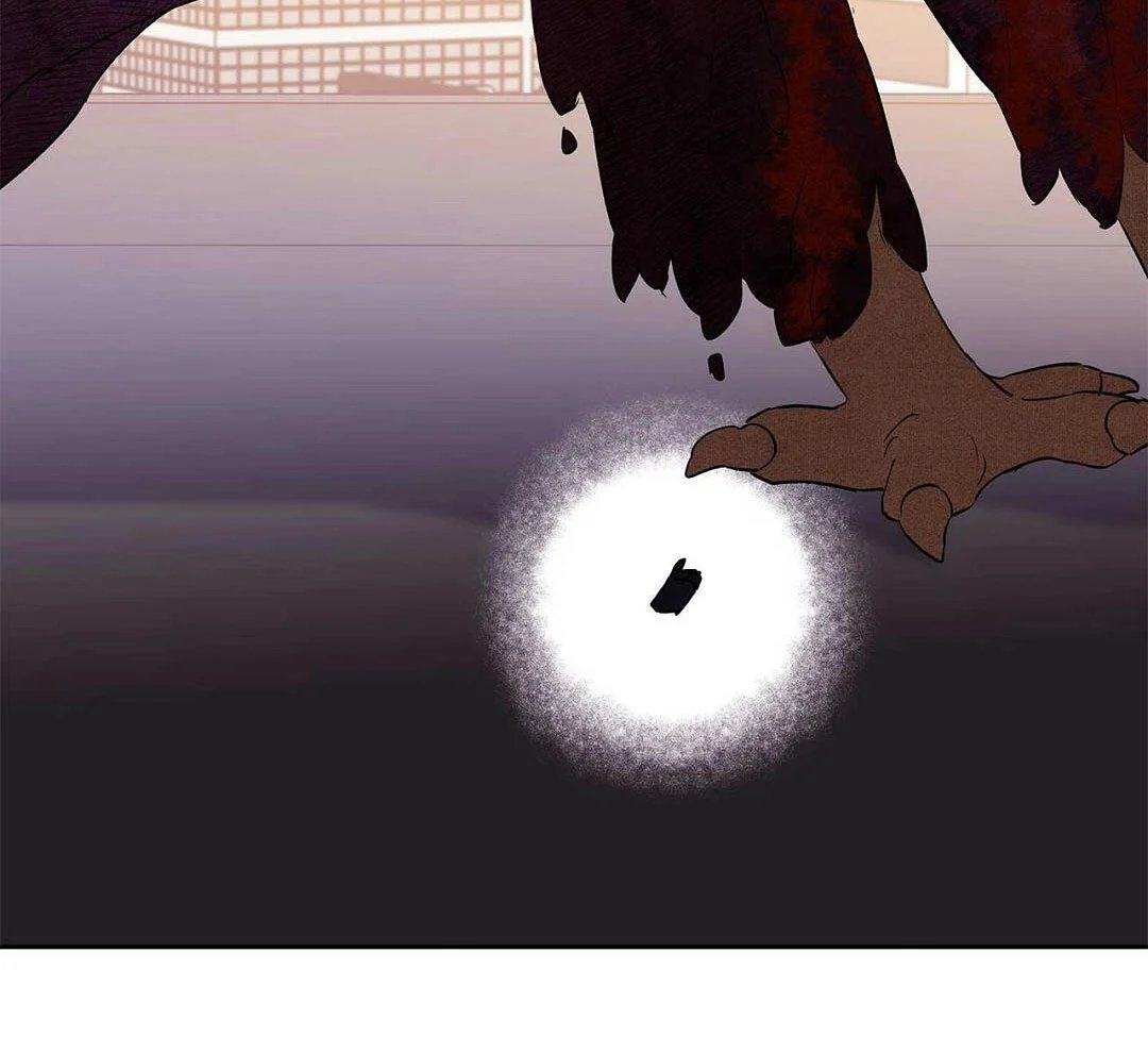 guide cấp b chapter 26 164