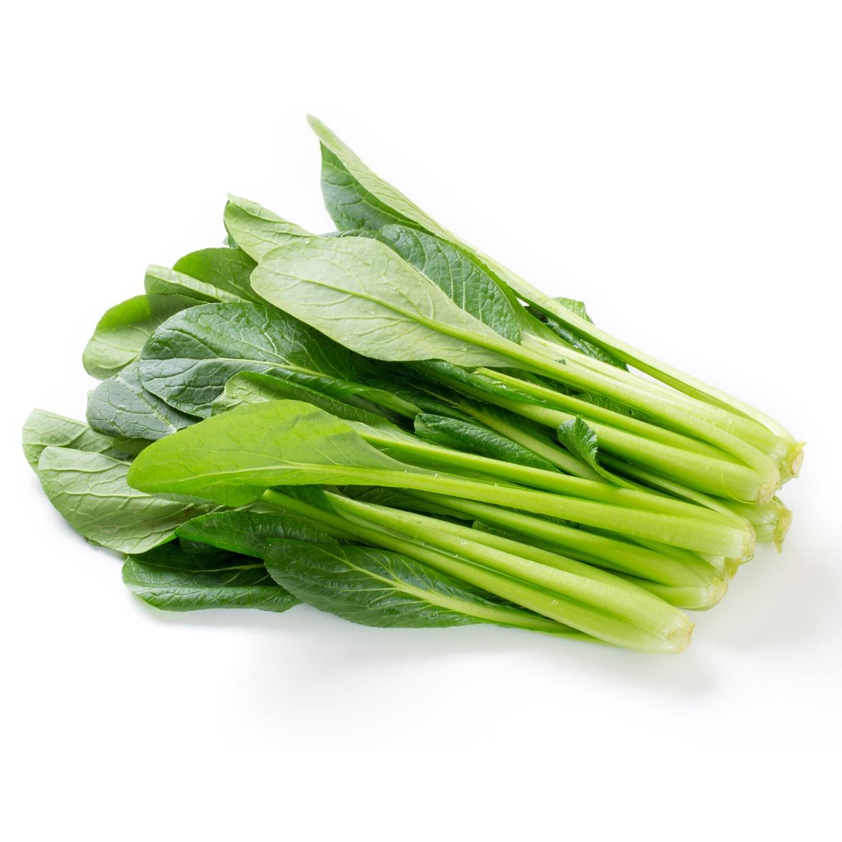 Cải ngọt ngon sạch - HNH Food Farm