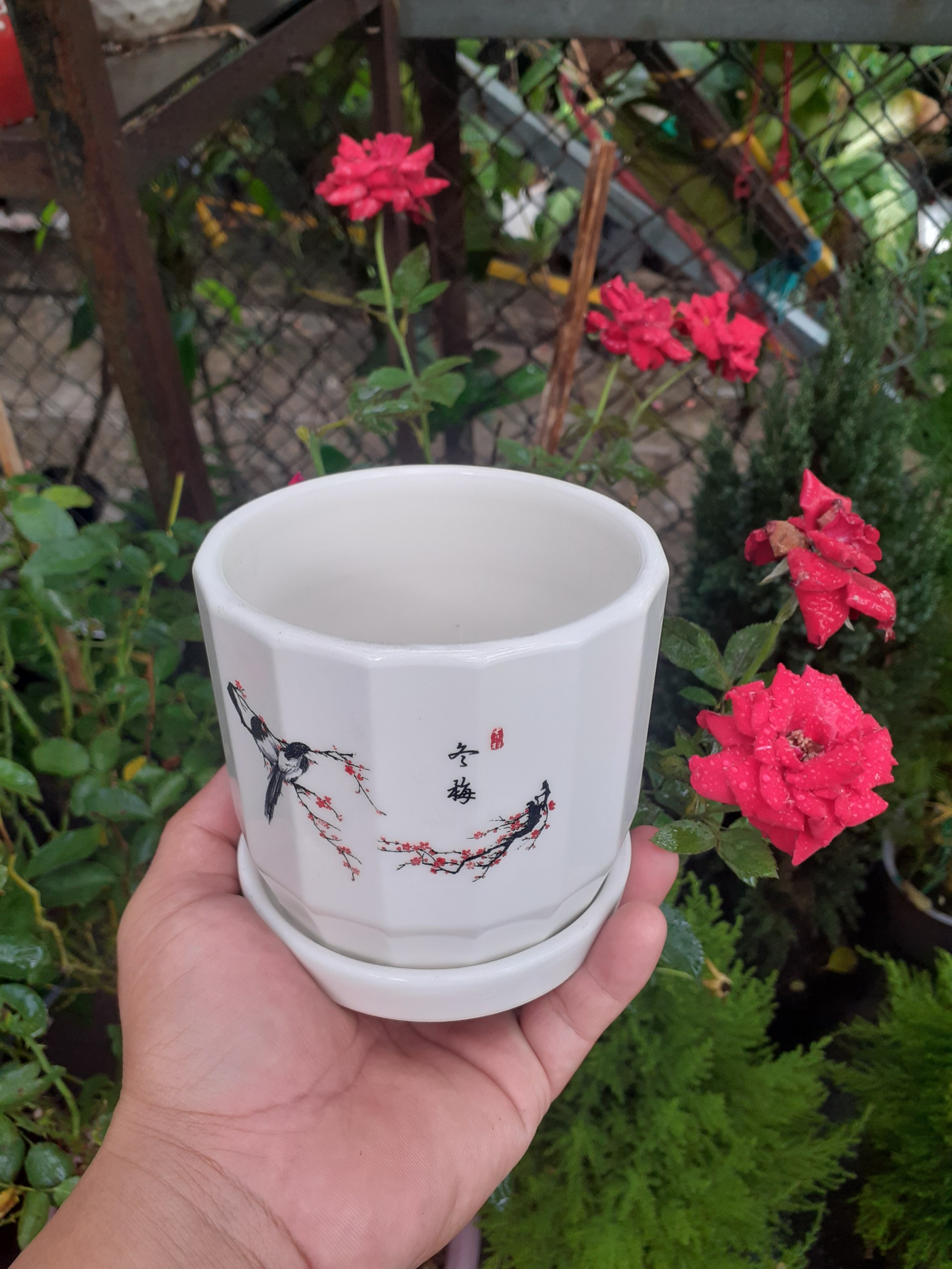 Chậu sứ tròn kèm dĩa đôi chim uyên ương giữa mùa xuân.