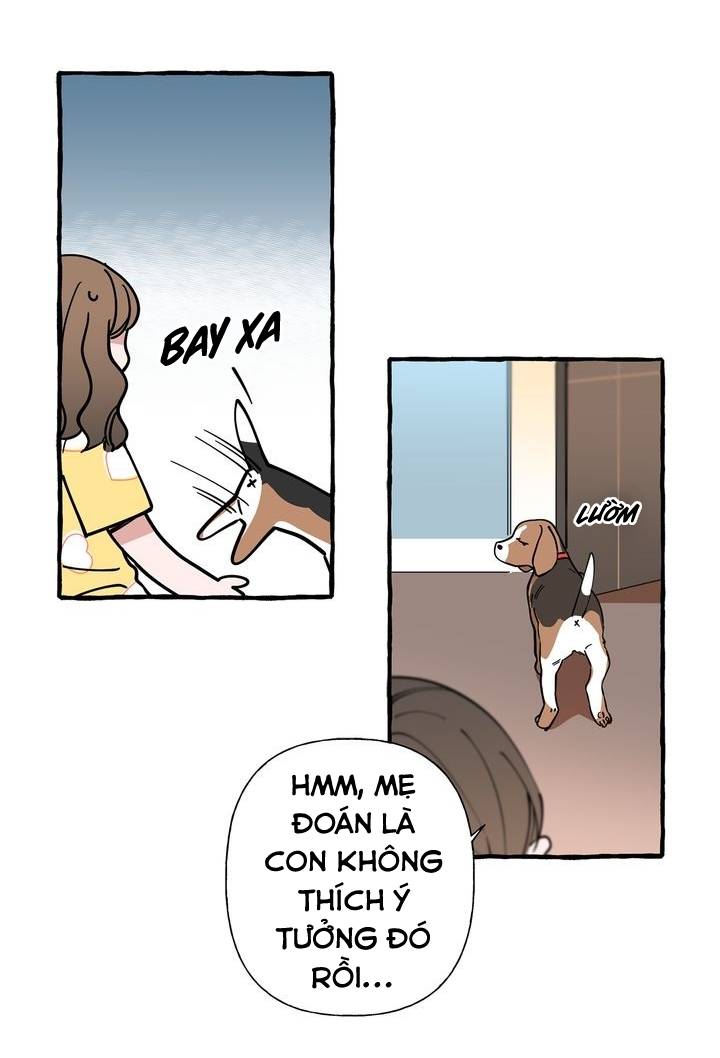 nhân viên mới của masung chapter 6 8