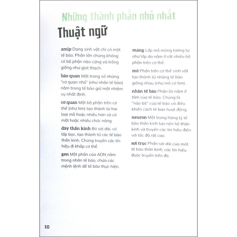Cơ Thể Người - Trong 30 Giây