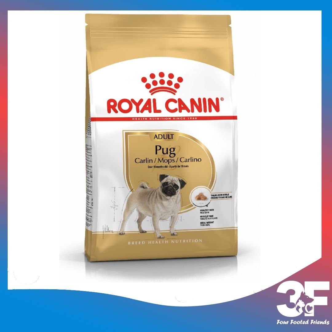 Hạt Khô Cho Chó Pug Trưởng Thành: Royal Canin Pug Adult