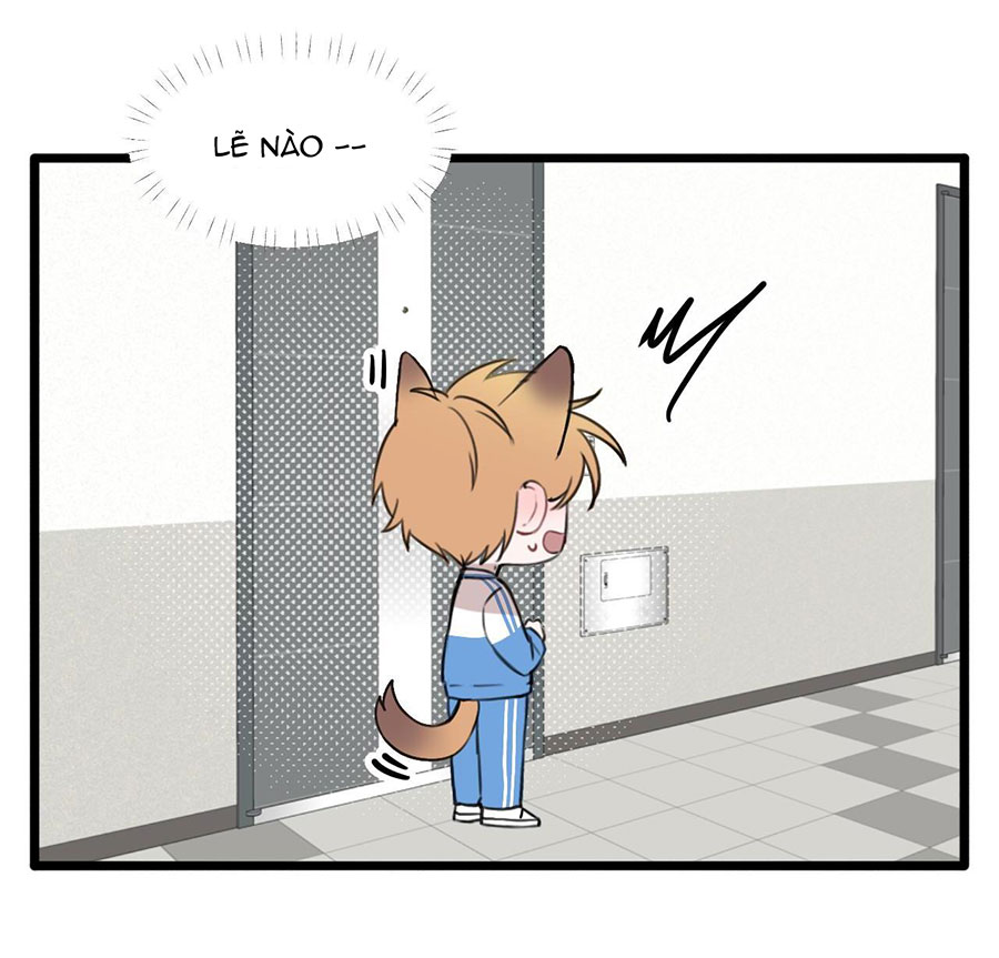 rốt cuộc bé mèo đang nghĩ gì ? chapter 18 21