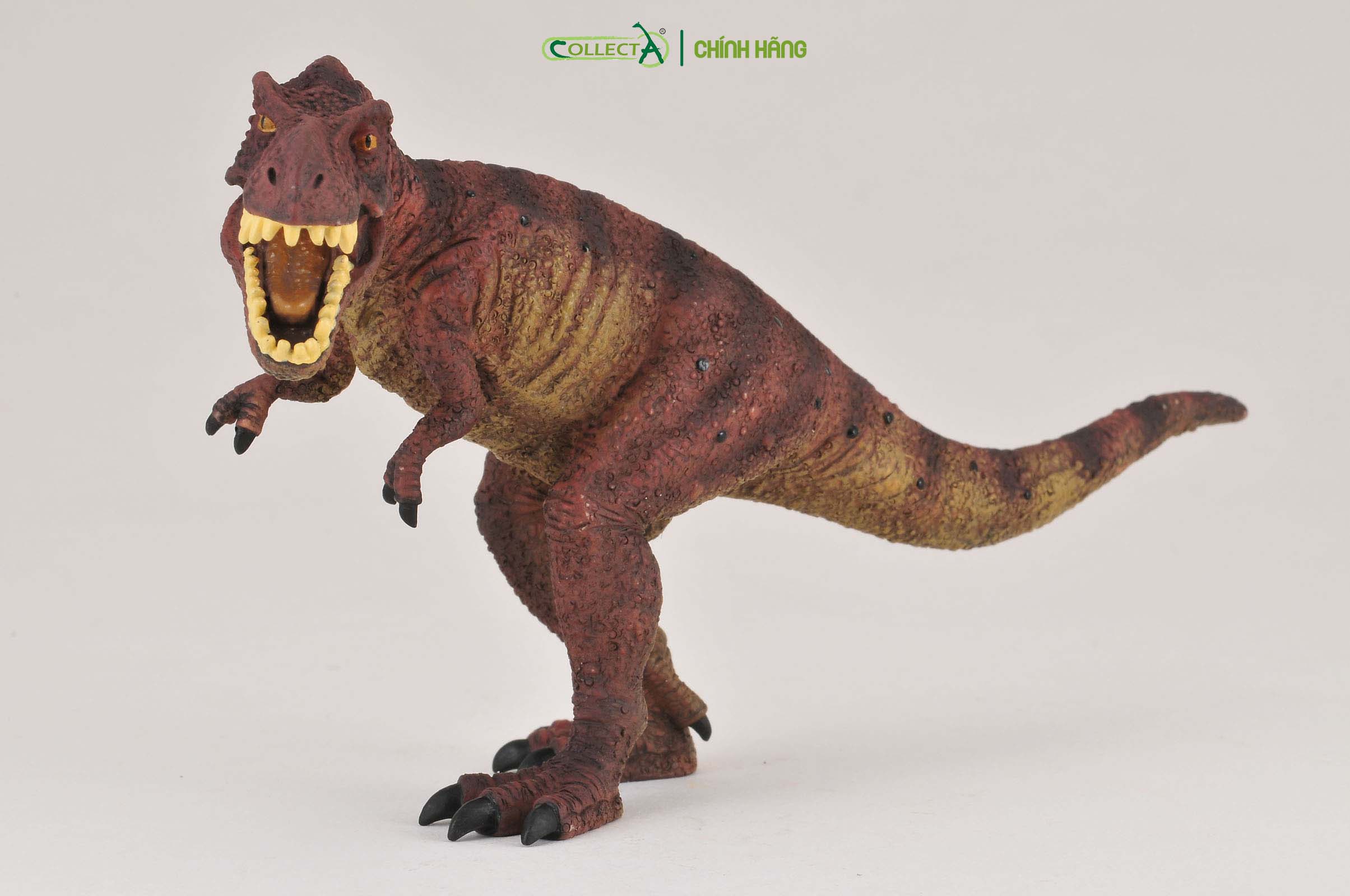 Mô hình thu nhỏ: Khủng Long Tyrannosaurus Rex  - Tyrannosaurus Rex , hiệu: CollectA, mã HS 9654080[88036] -  Chất liệu an toàn cho trẻ - Hàng chính hãng