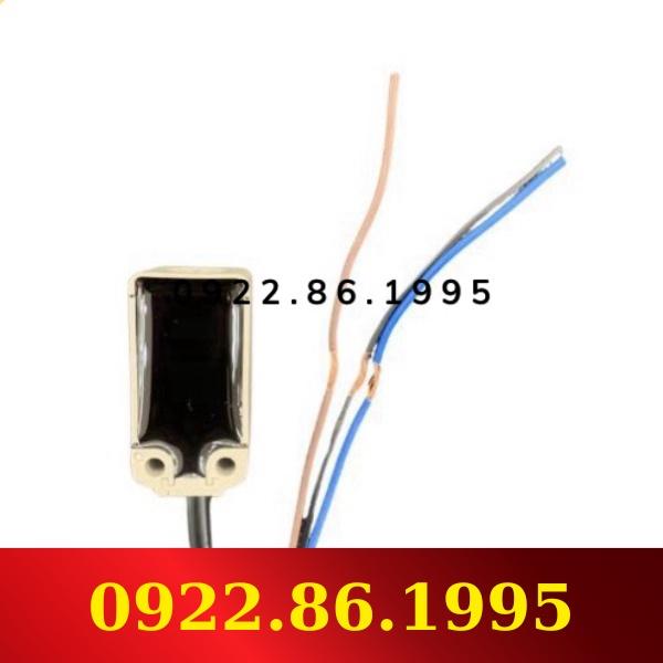 Cảm biến tiệm cận Autonics PSN17-8DP PNP NO 8mm 12-24VDC