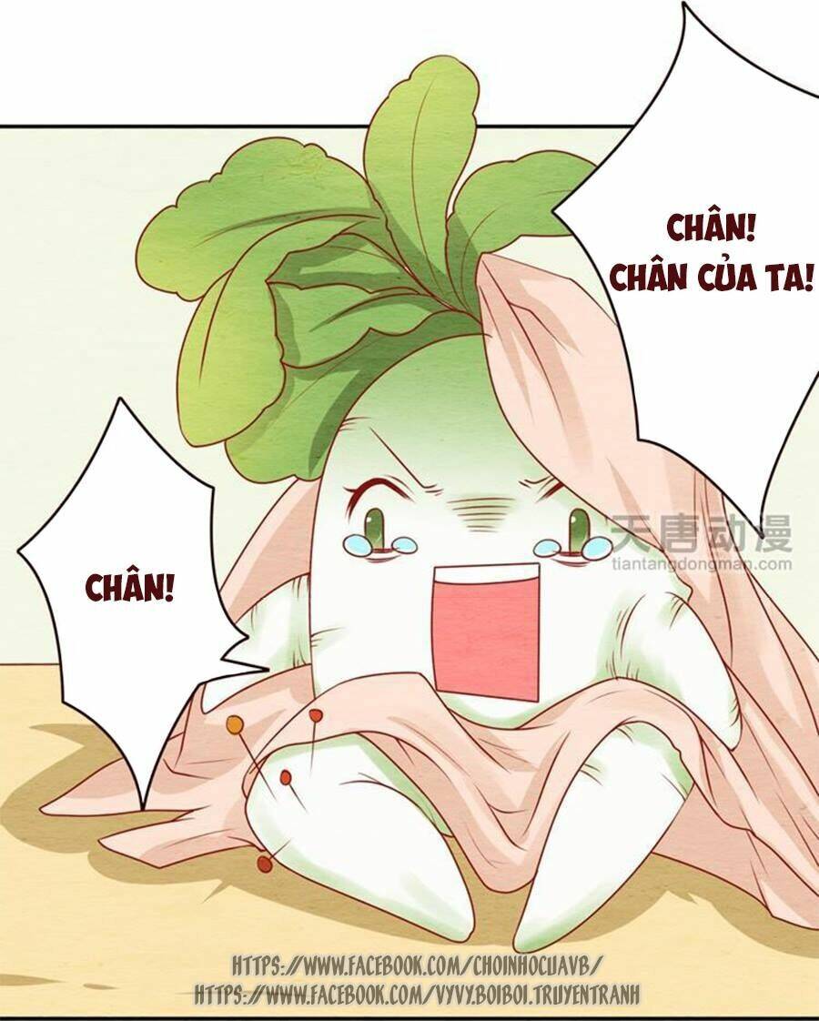 nhân hoa duyên chi sư phụ đại nhân cầu sủng ái chapter 7 37