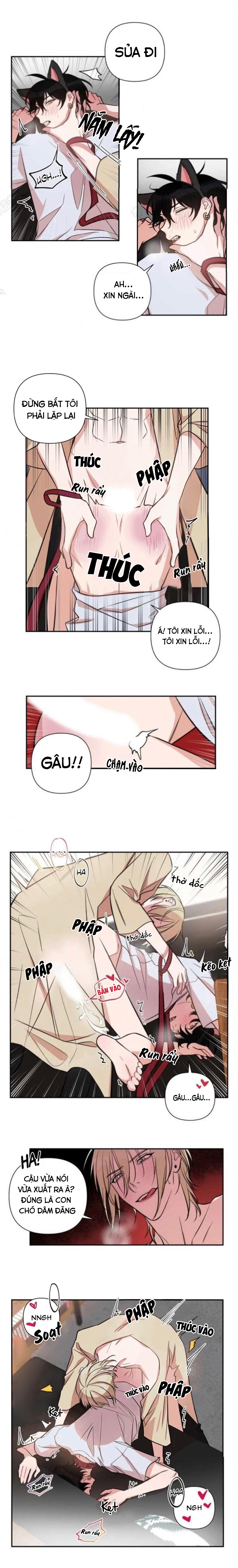 xu hướng tình dục bạn học chapter 30 3